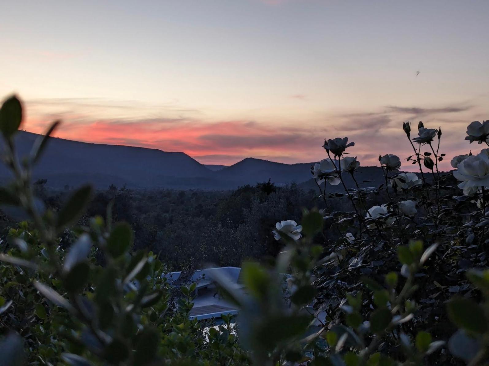 Casa Boho - Turismo Rural Bed & Breakfast Alvados Dış mekan fotoğraf