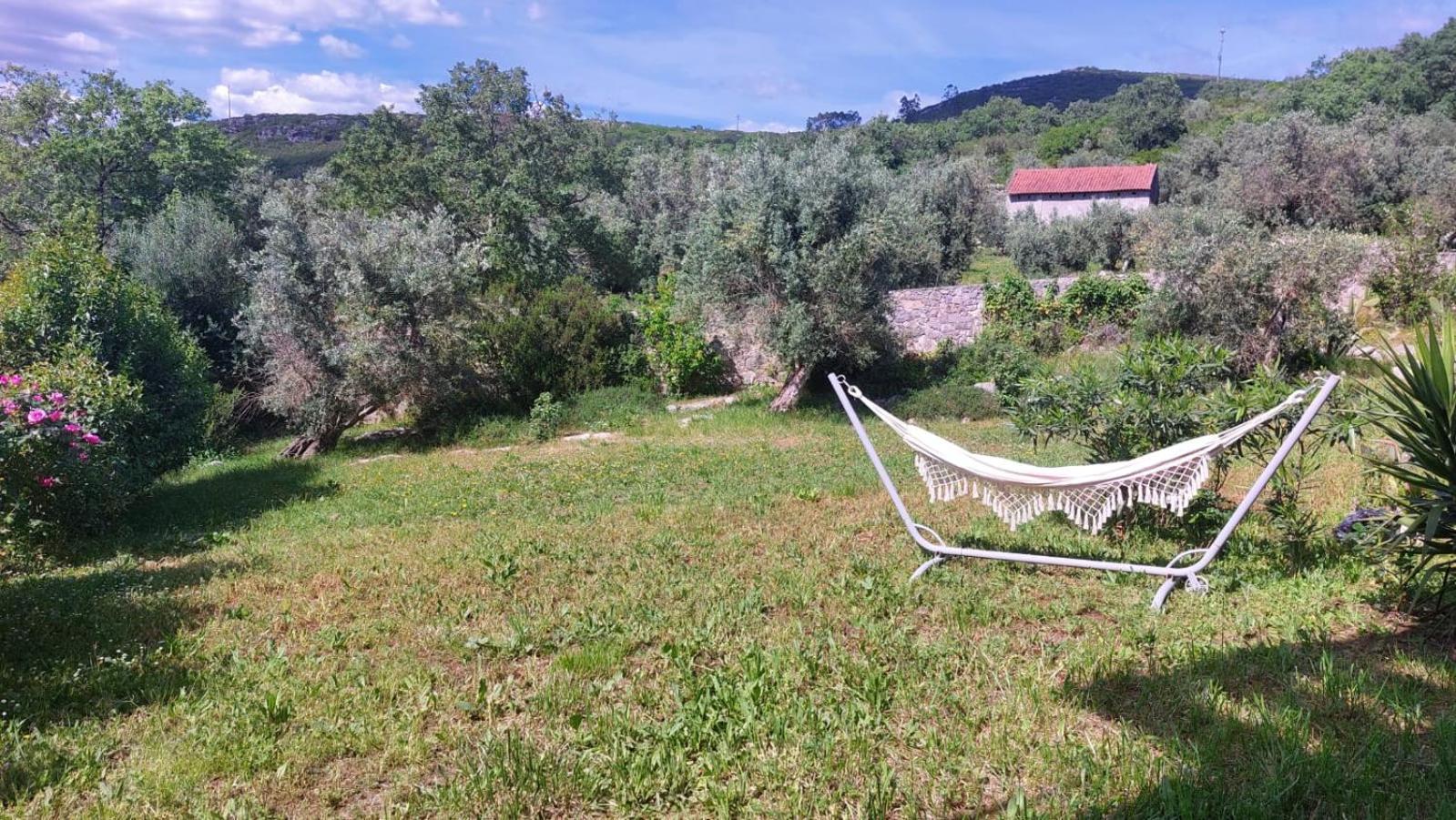 Casa Boho - Turismo Rural Bed & Breakfast Alvados Dış mekan fotoğraf